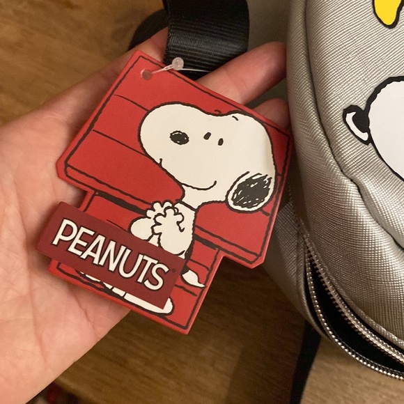 NWT Bioworld Peanuts Snoopy and Woodstock Mini Backpack - Picture 9 of 13